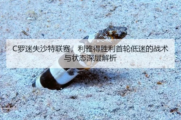luo-mi-shi-sha-te-lian-sai-li-ya-de-sheng-li-shou-lun-di-mi-de-zhan-shu-yu-zhuang-tai-shen-ceng-jie-xi-3-323.jpg