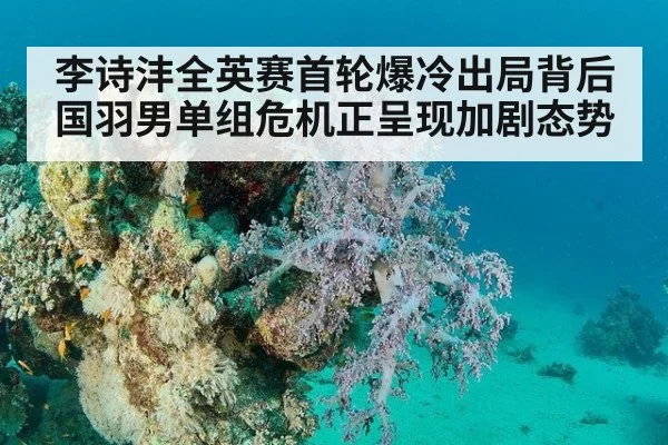 李诗沣全英赛首轮爆冷出局背后国羽男单组危机正呈现加剧态势